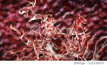Human parasitic amoeba with pseudopodia Human parasitic amoeba with pseudopodia 112218557