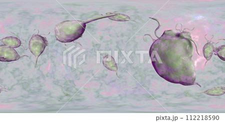 Trichomonas vaginalis protozoan, 360-degree spherical panorama 112218590