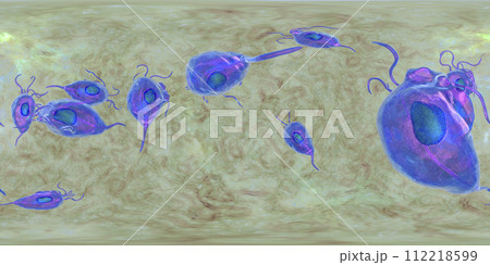 Trichomonas vaginalis protozoan, 360-degree spherical panorama Trichomonas vaginalis protozoan, 360-degree spherical panorama 112218599