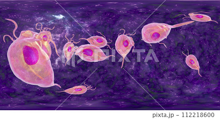 Trichomonas vaginalis protozoan, 360-degree spherical panorama Trichomonas vaginalis protozoan, 360-degree spherical panorama 112218600