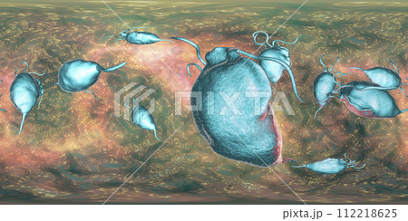 Trichomonas vaginalis protozoan, 360 degree panorama view 112218625