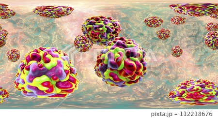 Rhinoviruses, the viruses which cause common cold 112218676