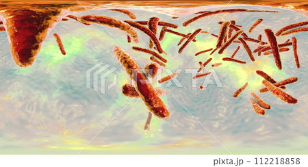 360-degree spherical panorama of bacteria Mycobacterium tuberculosis 360-degree spherical panorama of bacteria Mycobacterium tuberculosis 112218858