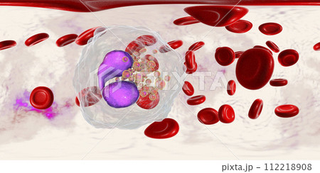 360-degree spherical panorama of eosinophil, a white blood cell in blood 360-degree spherical panorama of eosinophil, a white blood cell in blood 112218908