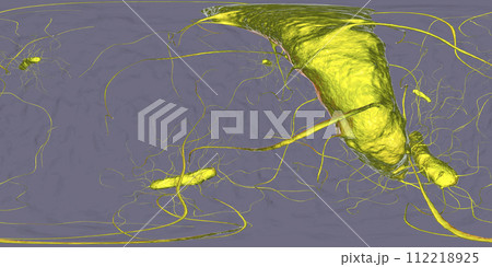 Clostridium difficile bacteria, 360 degree spherical panorama view 112218925