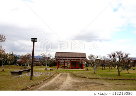 豊前国分寺の梅花と東屋 112219086