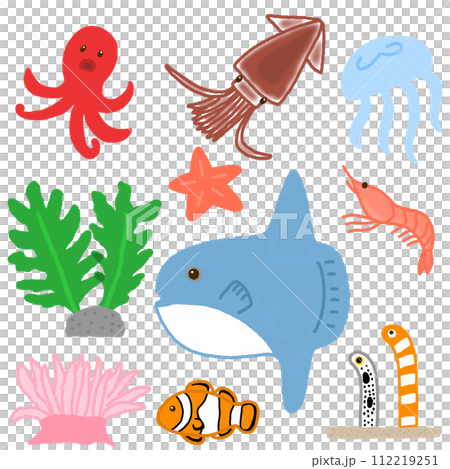 海の生き物 112219251