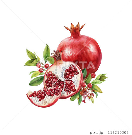 AI-generated content. Watercolor red pomegranate fruit with leaf and seeds isolated. 112219302