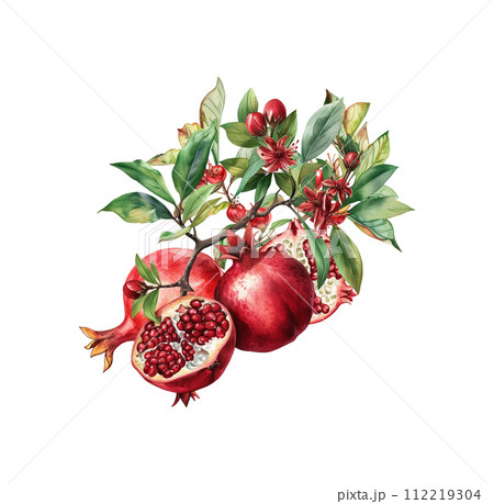 AI-generated content. Watercolor red pomegranate fruit with leaf and seeds isolated. 112219304