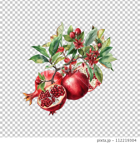 AI-generated content. Watercolor red pomegranate fruit with leaf and seeds isolated. 112219304