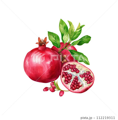 AI-generated content. Watercolor red pomegranate fruit with leaf and seeds isolated. AI-generated content. Watercolor red pomegranate fruit with leaf and seeds isolated. 112219311