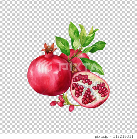 AI-generated content. Watercolor red pomegranate fruit with leaf and seeds isolated. AI-generated content. Watercolor red pomegranate fruit with leaf and seeds isolated. 112219311