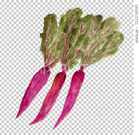 片平茜手繪水彩插圖排隊 112219593