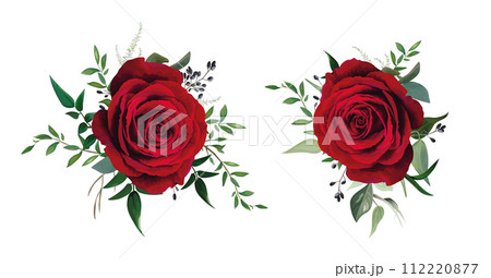 Red rose, burgundy flower with greenery leaves. Vector, watercolor, editable bouquet illustration. Floral decorative set isolated on white background. Elegant wedding invite party designer elements 112220877
