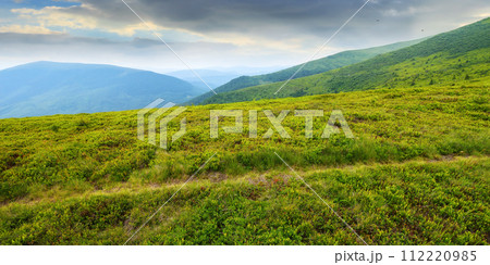hiking trail through green hillside. vast green meadows of carpathian mountain landscape. outdoor summer vacations 112220985