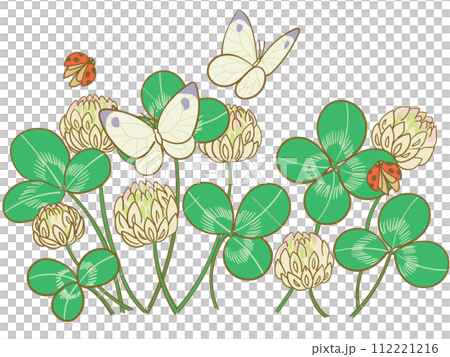 白三葉草和monsacea 白三葉草和monsacea 112221216