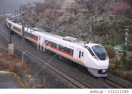 満開の梅と小雪が舞う偕楽園を横目に駆け抜けるE657系電車_2024/2/23撮影 112221260