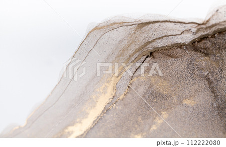 Abstract fluid art painting in alcohol ink, mixture of bronze, silver, metallic and gold paints. 112222080