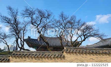 ancient palace 112222525