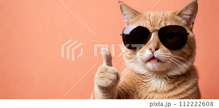 Cheerful cat giving thumbs up, perfect for expressing positive emotions, approval or agreement. Playful image captures cat in human-like gesture, making it ideal for fun 112222608