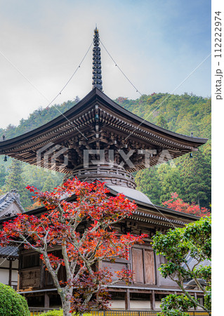 宇土観音 112222974