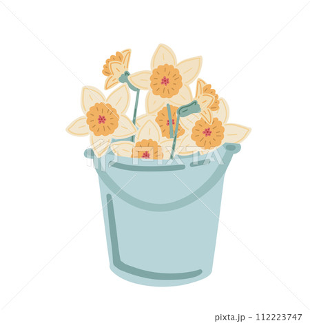 Narcissus flat design set springtime blossom Narcissus flat design set springtime blossom 112223747