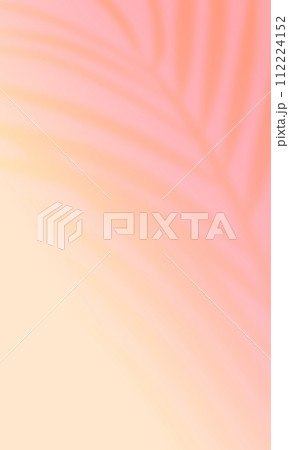 アレカヤシの影。トロピカルな雰囲気のあるおしゃれな背景素材。 112224152