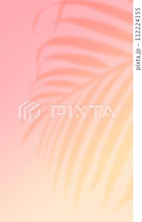 ヤシの葉の影。南国の雰囲気を感じる夏の背景素材。 112224155