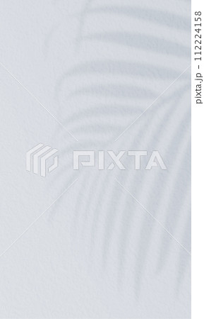 アレカヤシのシルエット。夏のクールな背景素材。 112224158