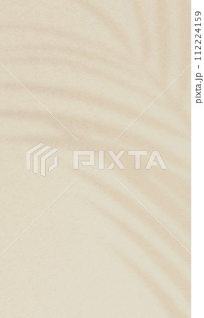 夏の植物。リゾート地を連想させるシンプルでおしゃれな背景素材。 112224159