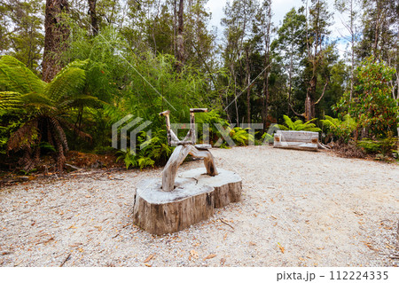 Tahune Airwalk in Tasmania Australia 112224335