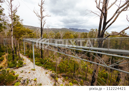 Tahune Airwalk in Tasmania Australia Tahune Airwalk in Tasmania Australia 112224421