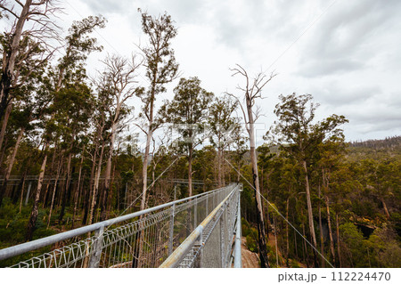 Tahune Airwalk in Tasmania Australia 112224470