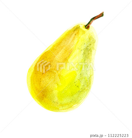 Fresh ripe yellow honey pear fruit isolated on a white background. Realistic illustration with watercolor hand drawn. Delicious aromatic fruit ripened on a tree for fabric, kitchen towels Fresh ripe yellow honey pear fruit isolated on a white background. Realistic illustration with watercolor hand drawn. Delicious aromatic fruit ripened on a tree for fabric, kitchen towels 112225223