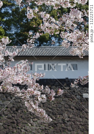 皇居乾通りの桜と石垣白壁(縦位置) 皇居乾通りの桜と石垣白壁(縦位置) 112225711