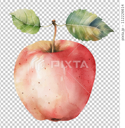 red apple, watercolor illustration. 112226614