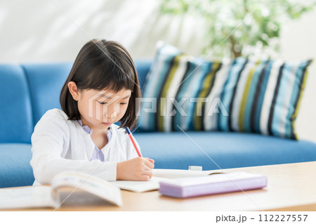 リビングで宿題をする小学生の女の子。 112227557