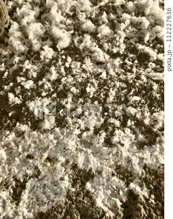 大谷石_石の華_冬の間だけ見れる結晶ゼオライト 112227636