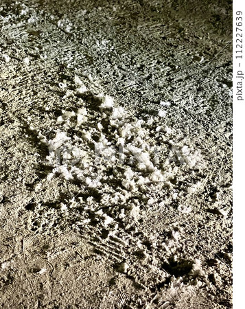 大谷石_石の華_冬の間だけ見れる結晶ゼオライト 大谷石_石の華_冬の間だけ見れる結晶ゼオライト 112227639