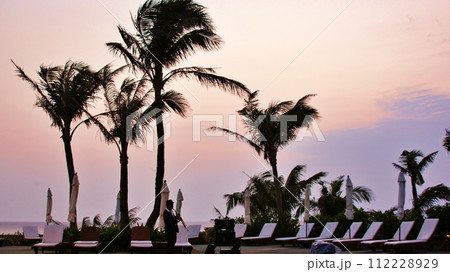 南国リゾートのマジックアワー 112228929