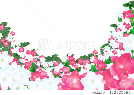 煙草の花のカード1 煙草の花のカード1 112229260