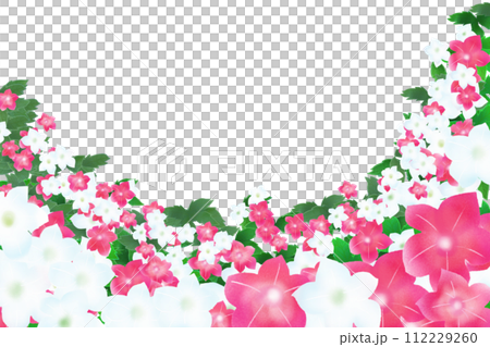 煙草の花のカード1 煙草の花のカード1 112229260