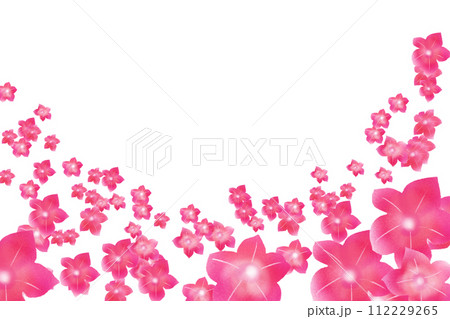 煙草の花のカード6 煙草の花のカード6 112229265
