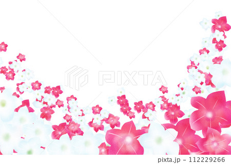 煙草の花のカード7 煙草の花のカード7 112229266
