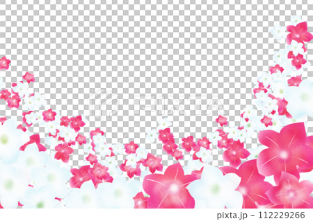煙草の花のカード7 煙草の花のカード7 112229266