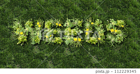 Weeds And Lawn Care 112229345