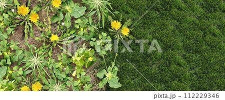 Weed Control Lawn Care 112229346
