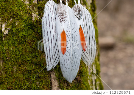 Handmade dream catcher with feathers threads and beads rope hanging Handmade dream catcher with feathers threads and beads rope hanging 112229671