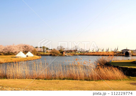 ステージクス高島のグランピング施設と桜 ステージクス高島のグランピング施設と桜 112229774