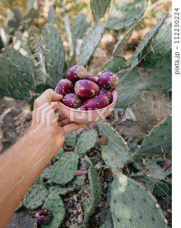 Men hold a plate of cactus fruits. Prickly pear cactus plant with sweet fruits Men hold a plate of cactus fruits. Prickly pear cactus plant with sweet fruits 112230224